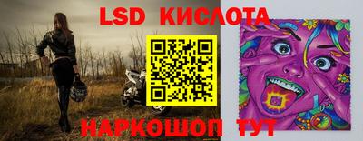 стафф Гатчина