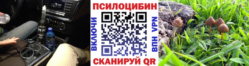 MEGA как войти  купить наркоту  Канаш  Галлюциногенные грибы ЛСД 