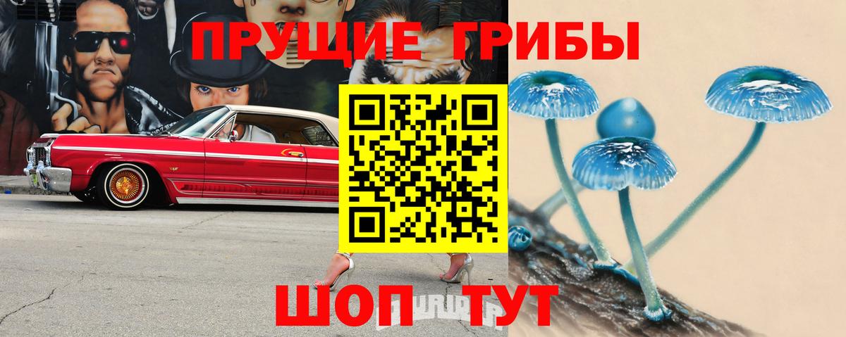 Канаш  наркота  Вход с VPN  Галлюциногенные грибы MAGIC MUSHROOMS 